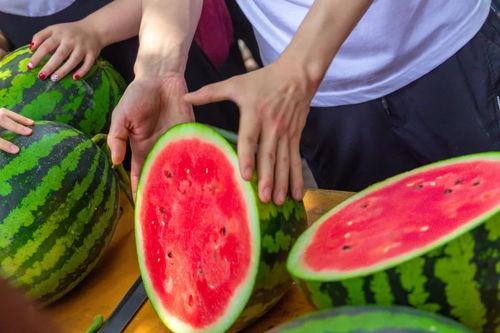 娱乐吃瓜酱中式be学