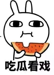 娱乐吃瓜酱三角形求角,揭秘三角形求角背后的奥秘